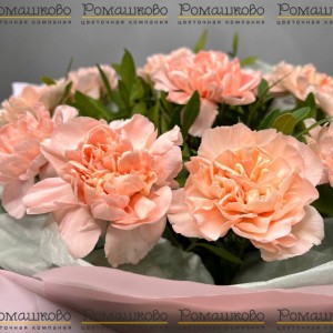 Превью Букет из гвоздик «Тысяча и одна ночь»