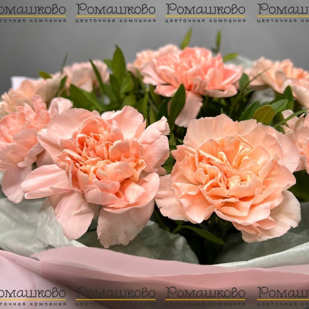 Букет из гвоздик «Тысяча и одна ночь»