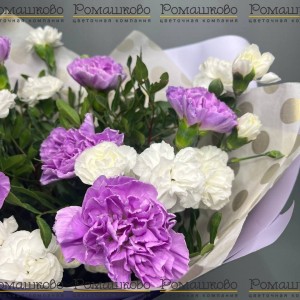 Превью Букет из гвоздик «Юность»