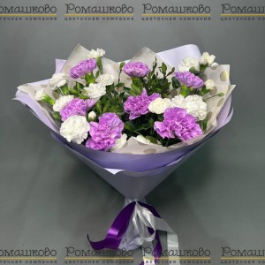 Превью Букет из гвоздик «Юность»