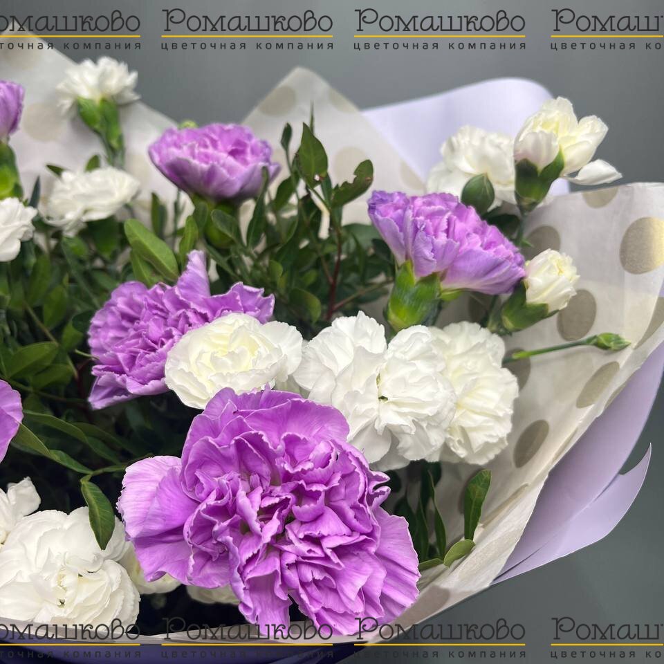 Букет из гвоздик «Юность»