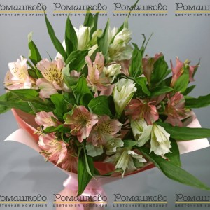 Превью Букет из альстромерий «Радость жизни»
