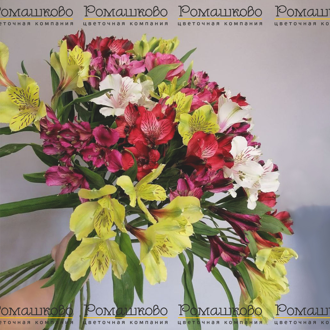 Букет из альстромерий «Сердца трех»