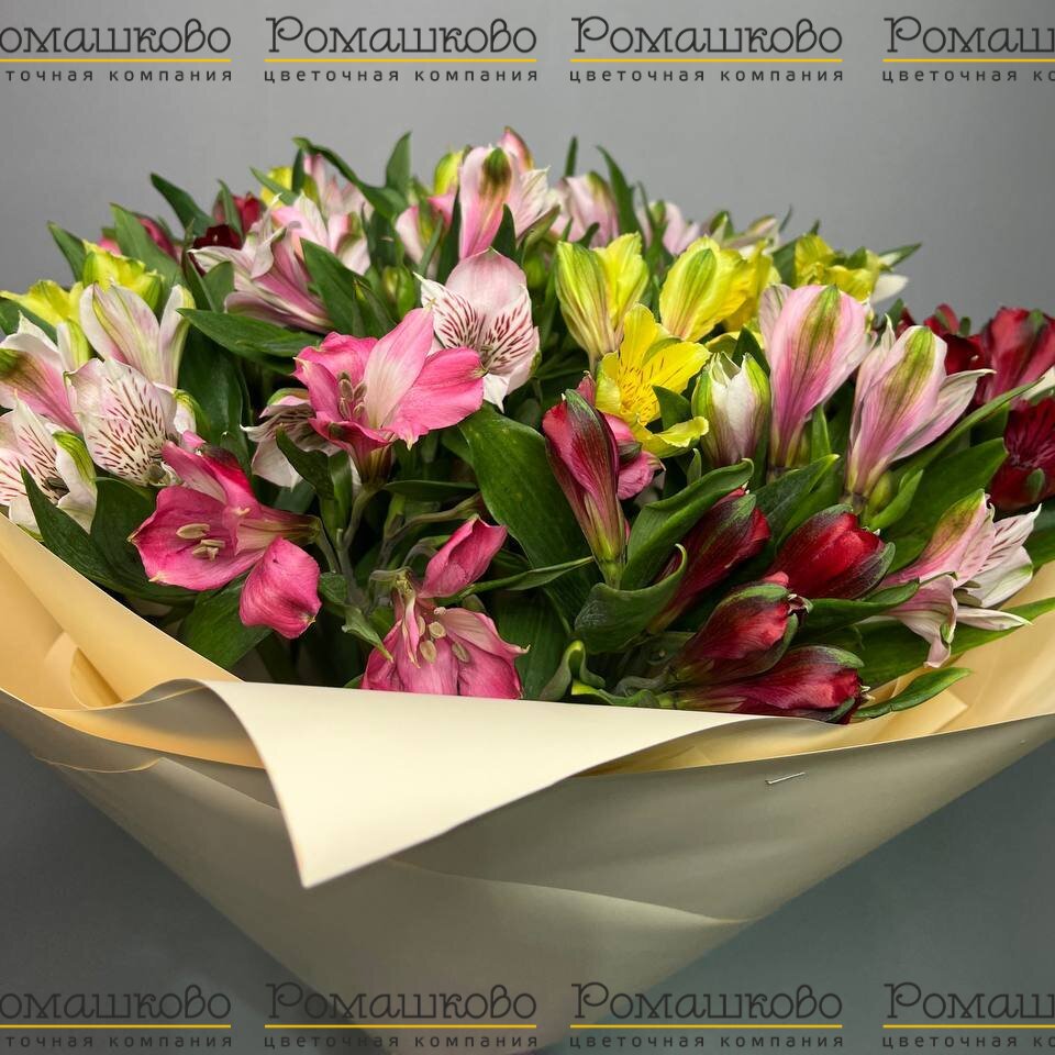 Букет из альстромерий «Подарок света»