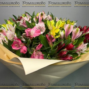 Превью Букет из альстромерий «Подарок света»