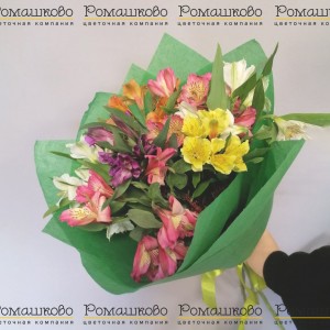 Превью Букет из альстромерий «Зеленая миля»
