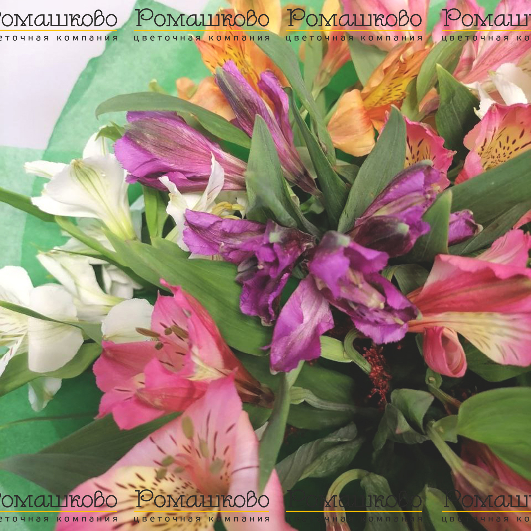 Букет из альстромерий «Зеленая миля»