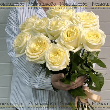 Букет из розы «Аура цветов»