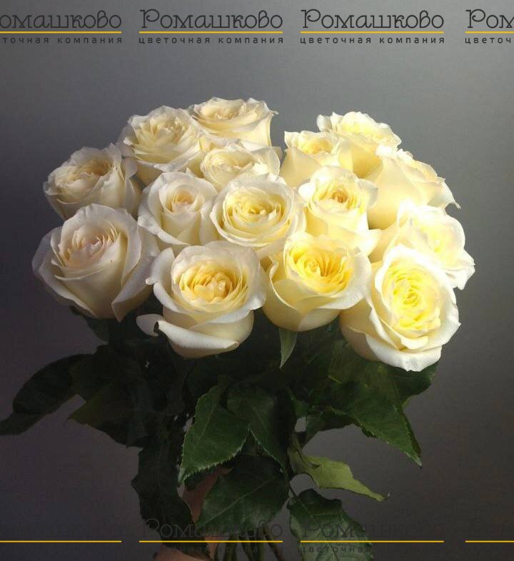 Букет «Лайм»