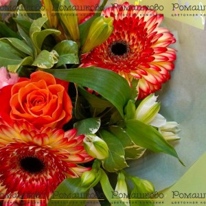 Превью Букет из гербер «Пираты карибского моря»