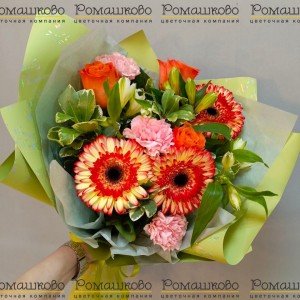 Превью Букет из гербер «Пираты карибского моря»