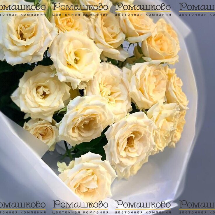 Букет из кустовых роз «Зачарованные»