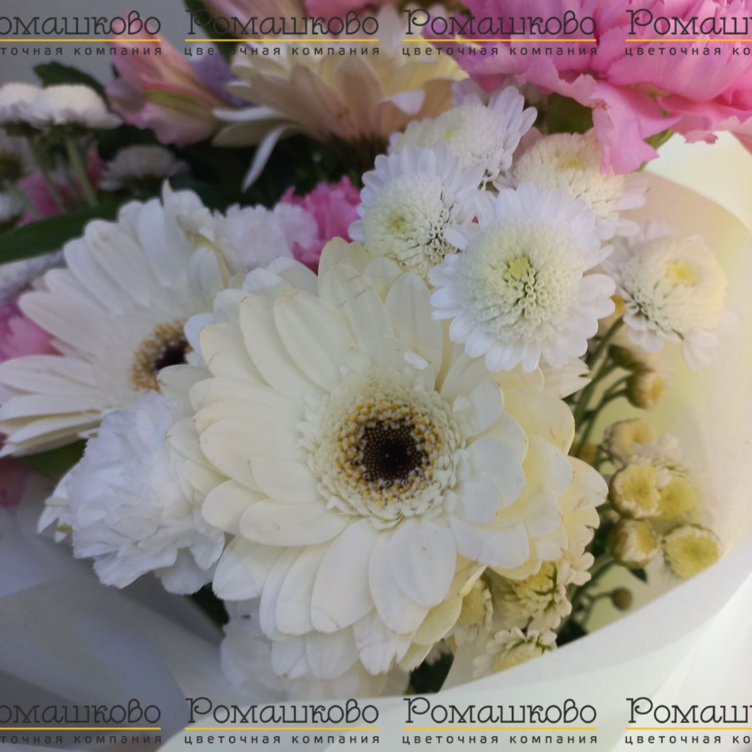 Букет из гербер «Принцесса Египта»