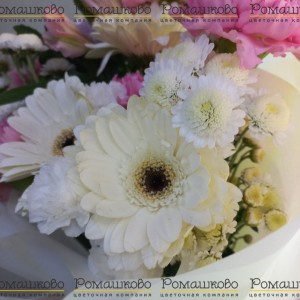 Превью Букет из гербер «Принцесса Египта»