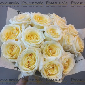 Превью Букет из розы «Лебединое озеро»