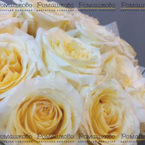 Превью Букет из розы «Лебединое озеро»