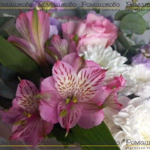 Превью Букет «17 мгновений весны»