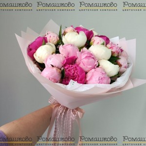 Превью Букет из пионов «Игристое вино»