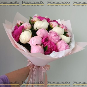 Превью Букет из пионов «Игристое вино»