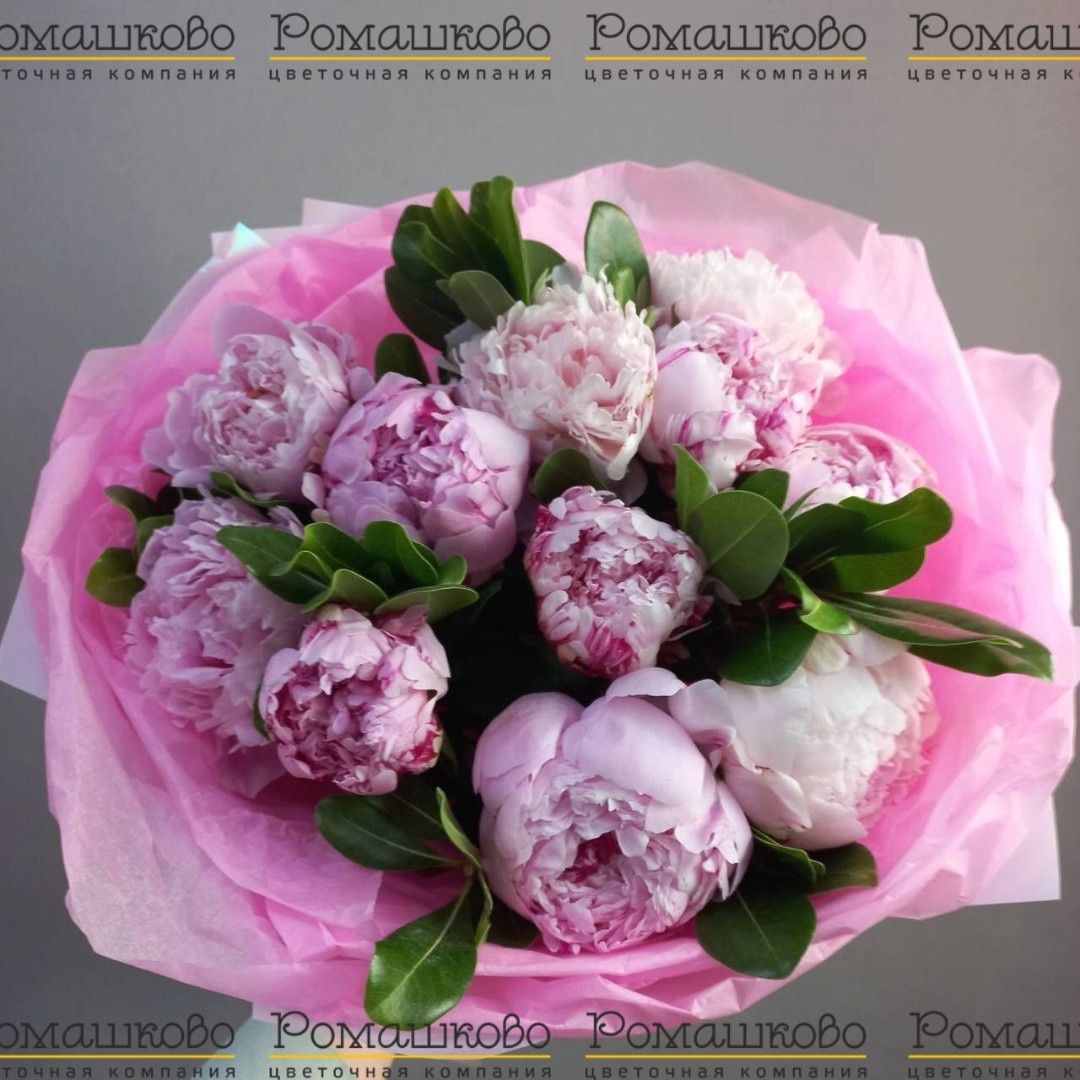 Букет из пионов «Касабланка»