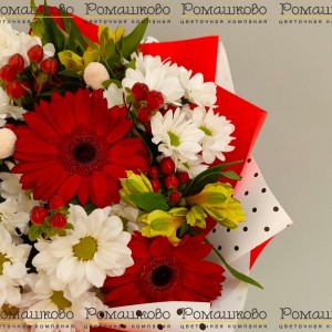 Превью Букет из гербер «Родина поэтов»