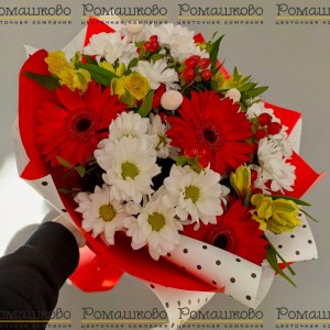 Превью Букет из гербер «Родина поэтов»