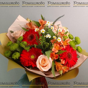 Превью Букет из гербер «Окружающий мир»