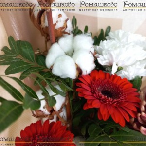 Превью Букет «Диадема»