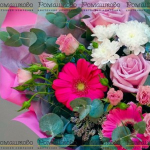 Превью Букет из гербер «Ностальгия»