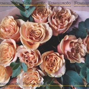 Превью Букет из роз «Озорной поцелуй»