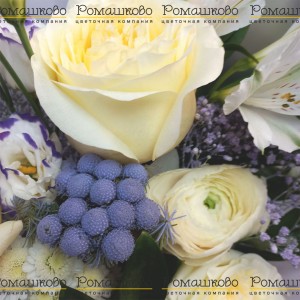 Превью Букет из роз «Первое свидание»