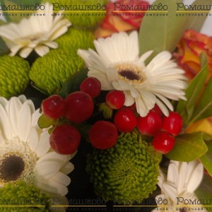 Превью Букет из гербер «Французский поцелуй»