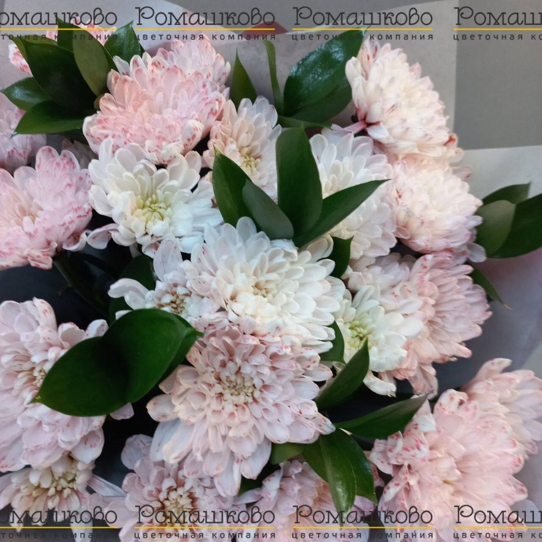 Букет из хризантем «Просто о сложном»