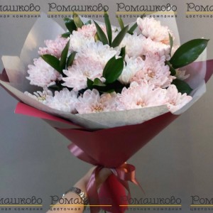 Превью Букет из хризантем «Просто о сложном»