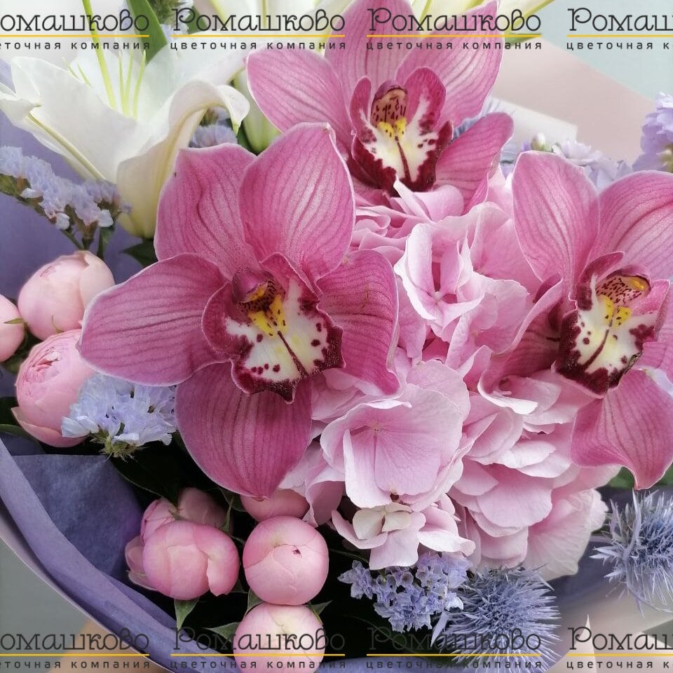 Букет из орхидей «Звездное небо»