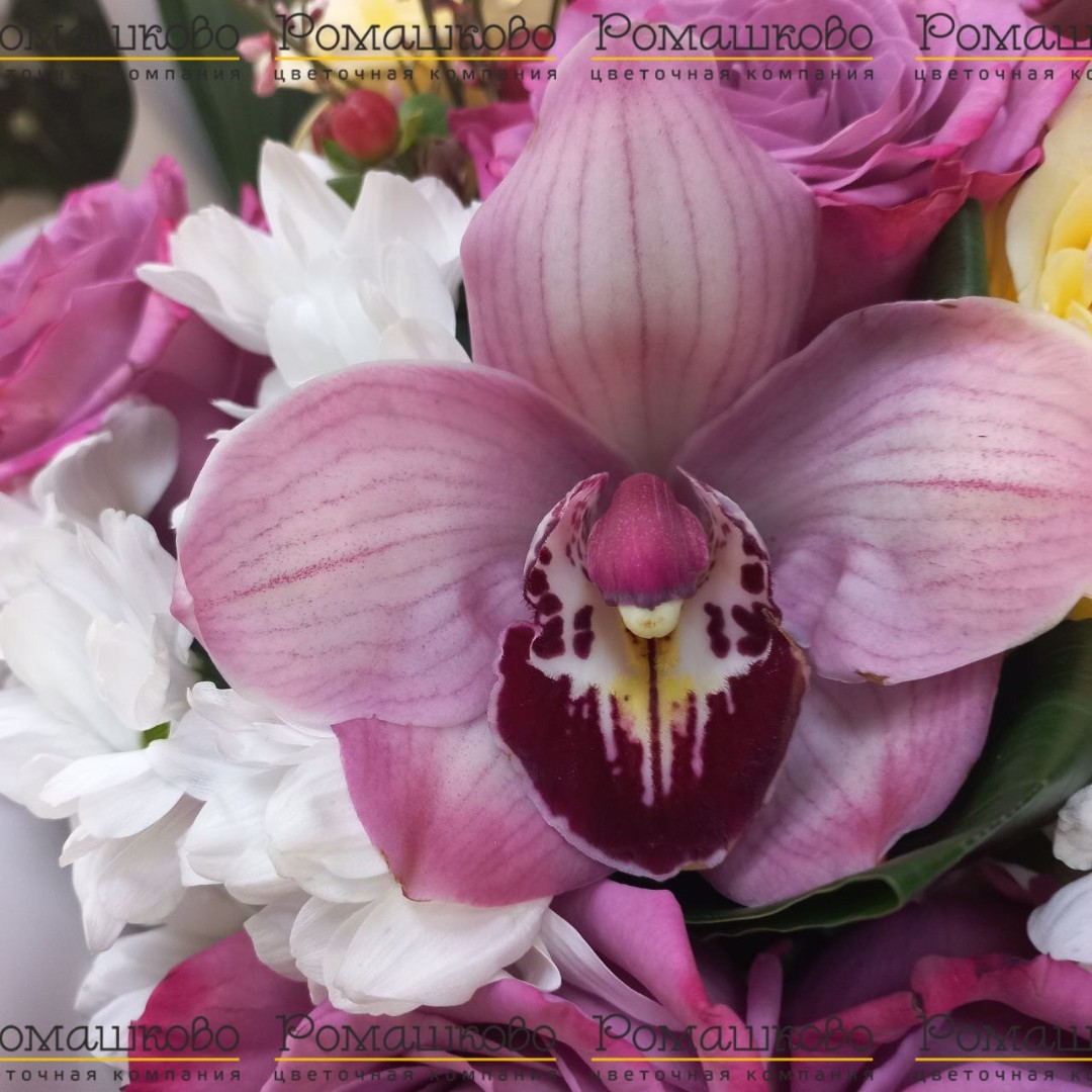 Букет из орхидей «Клеопатра»