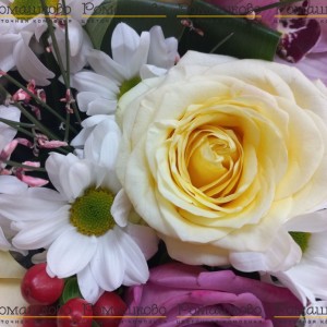 Превью Букет из орхидей «Клеопатра»