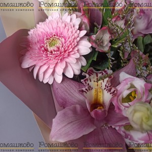 Превью Букет из орхидей «Кофе с молоком»