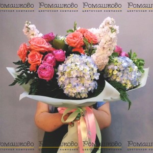 Превью Букет из гортензий «Незнакомка»