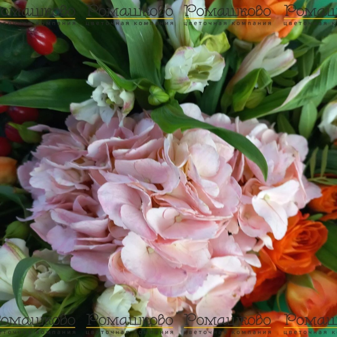 Букет из гортензий «Школьная пора»