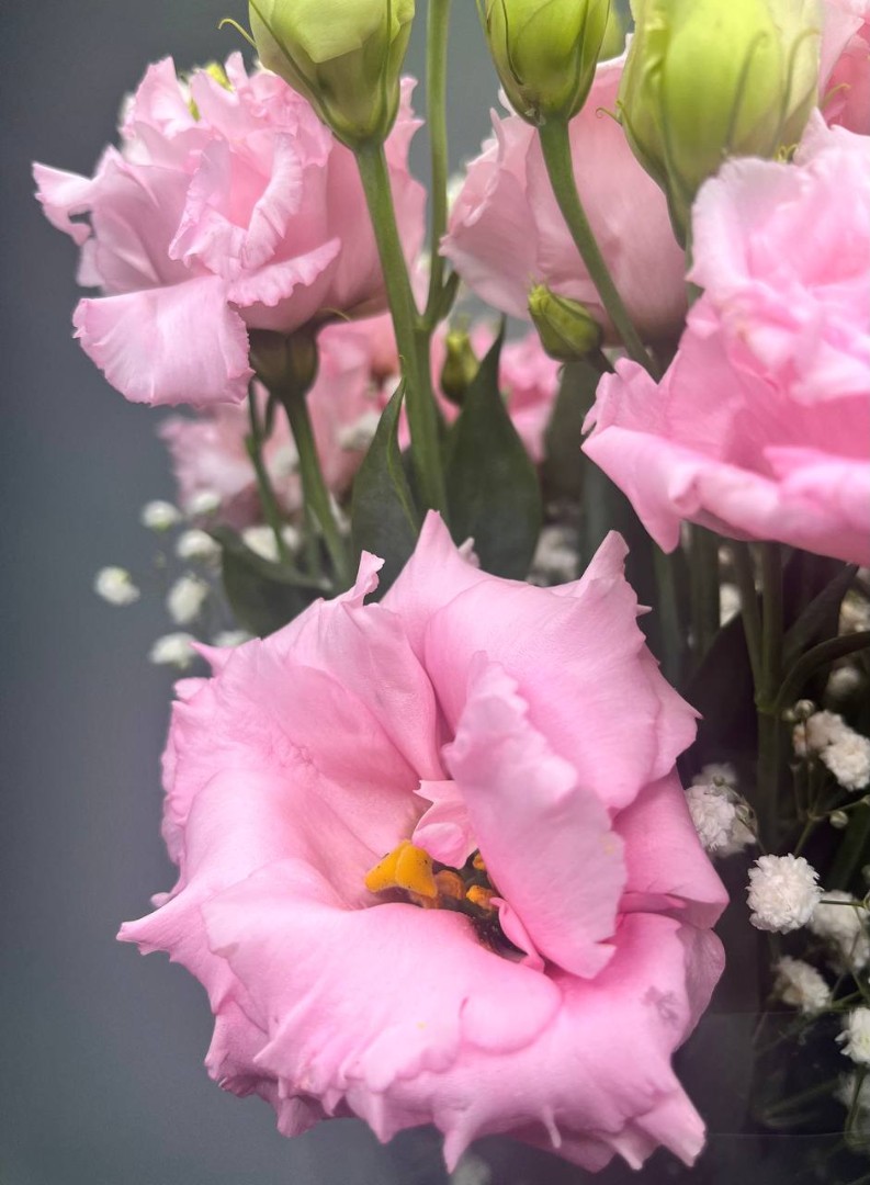 Букет из эустом «Весенняя капель»