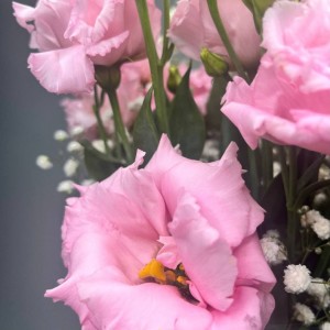 Превью Букет из эустом «Весенняя капель»