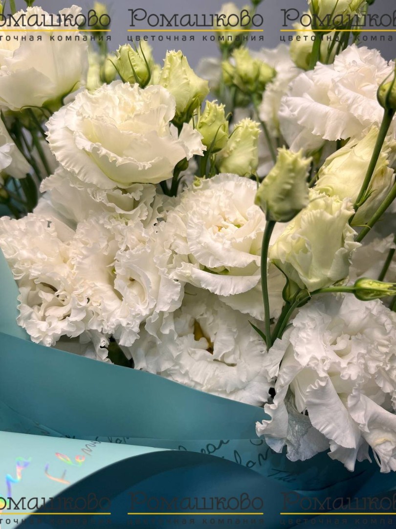 Букет из эустом «Люмината»