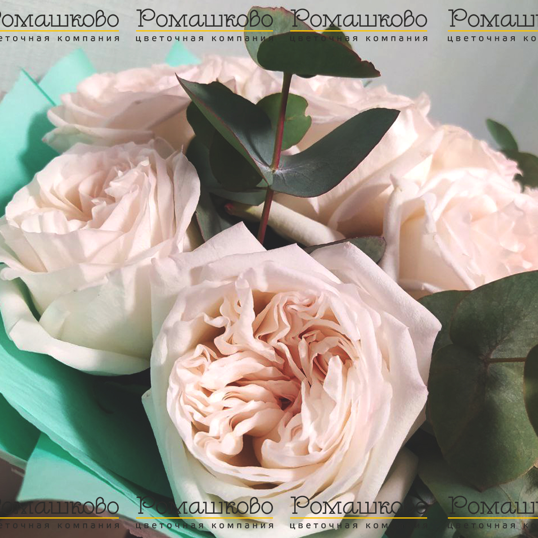 Букет из роз «На краю моря»