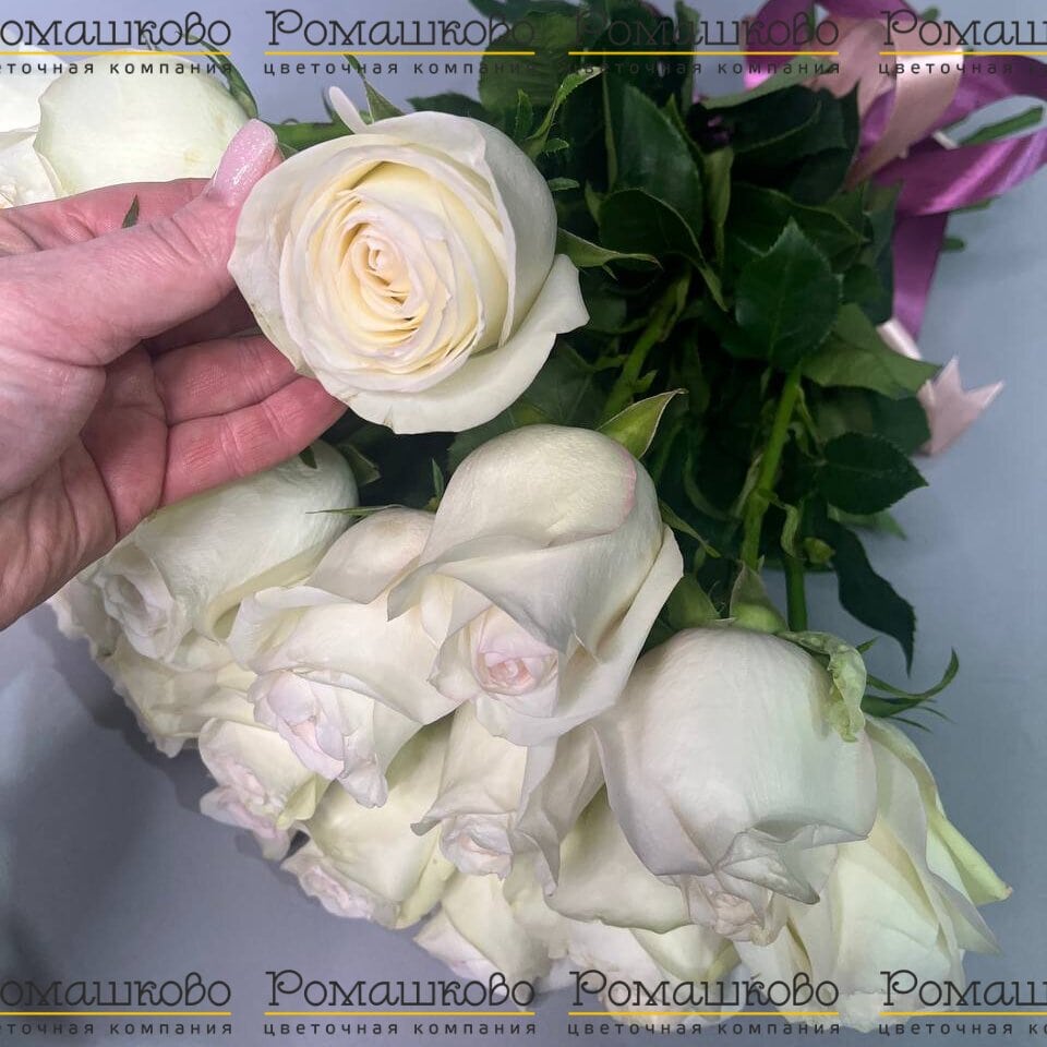 Букет из розы «Белые розы»