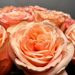 Превью Букет из роз Кахала