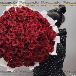 Превью Букет из розы «Миллион алых роз»