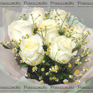 Превью Букет из 7 роз