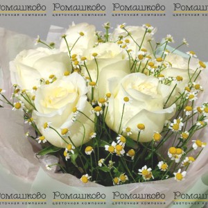 Превью Букет из 7 роз