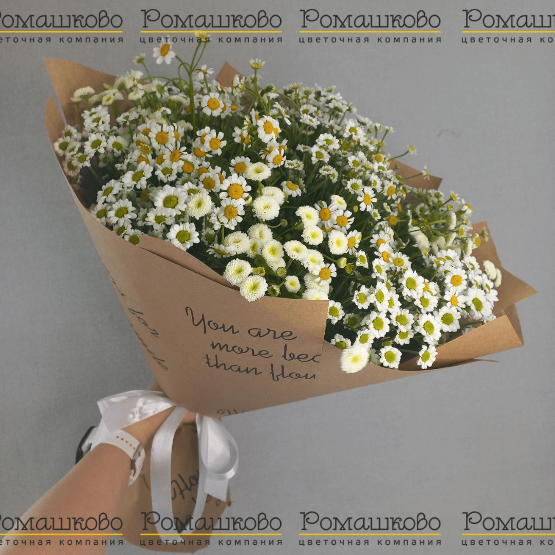 Букет из ромашек «Ромэо»